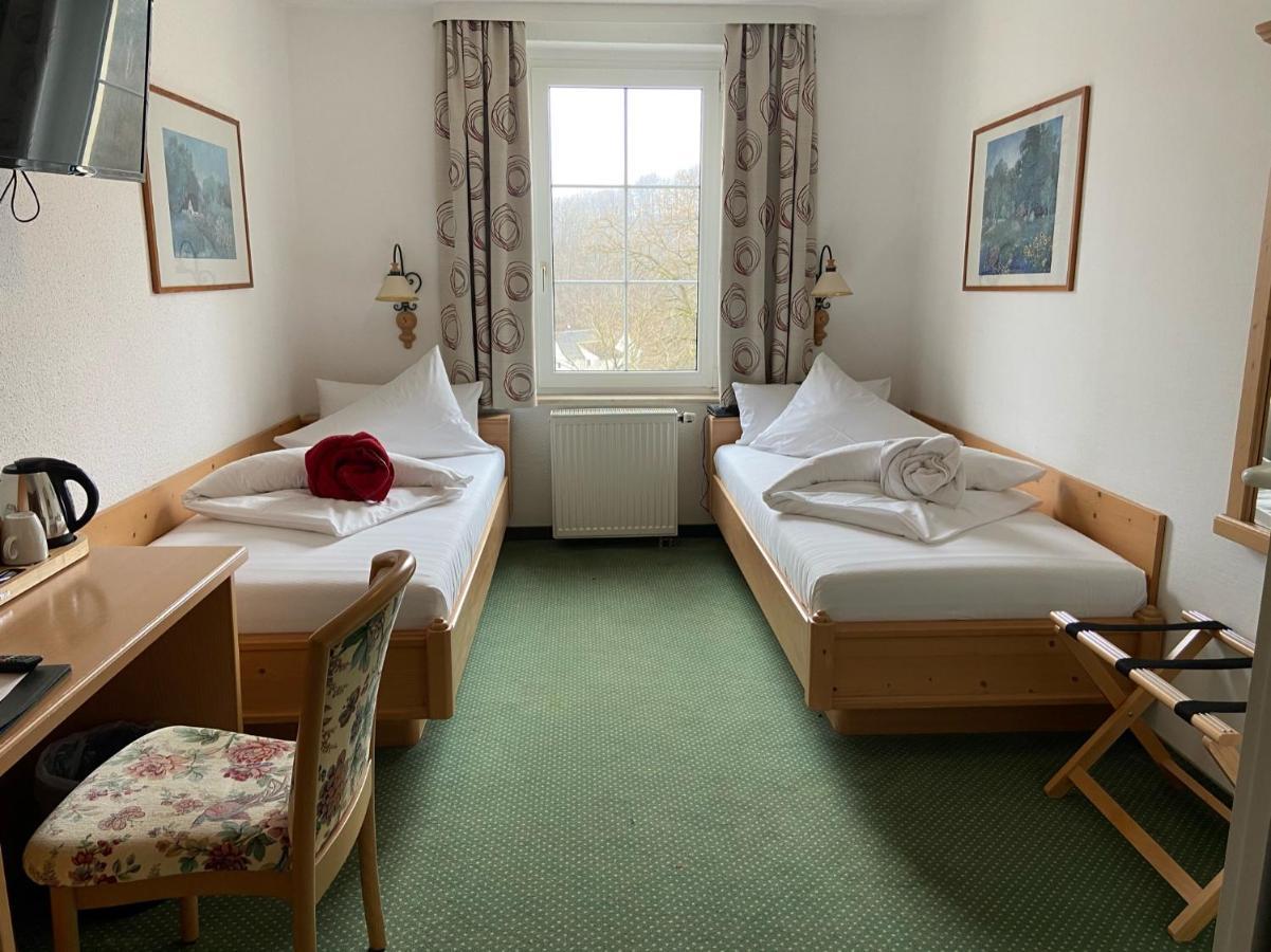 Hotel Muldenschlosschen Lunzenau Exteriér fotografie